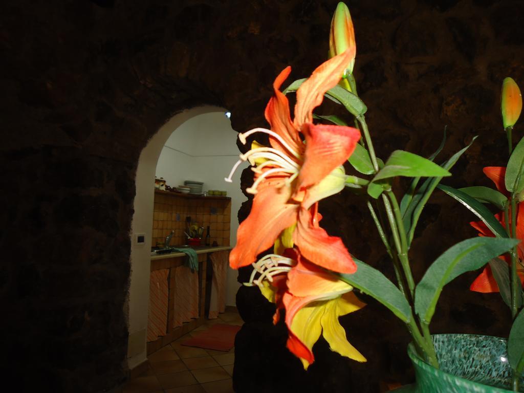 Agriturismo Zibibbodoro Scauri  Exterior photo